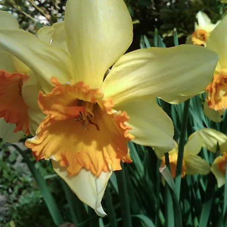 Bio Quinta Do Pantano, Agro Turismo