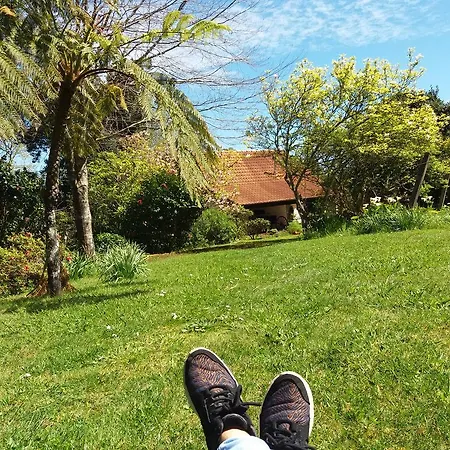 Bio Quinta Do Pantano, Agro Turismo *