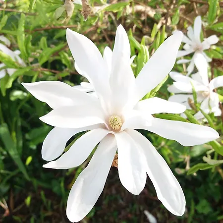 Bio Quinta Do Pantano, Agro Turismo Santo Antonio da Serra