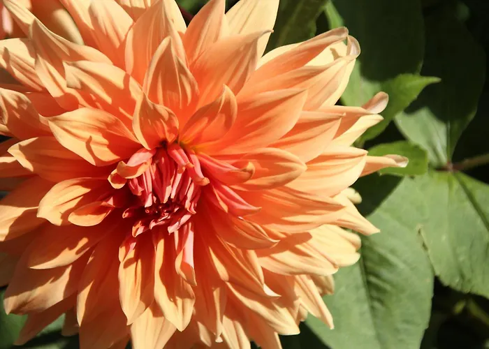 Bio Quinta Do Pantano, Agro Turismo Santo Antonio da Serra