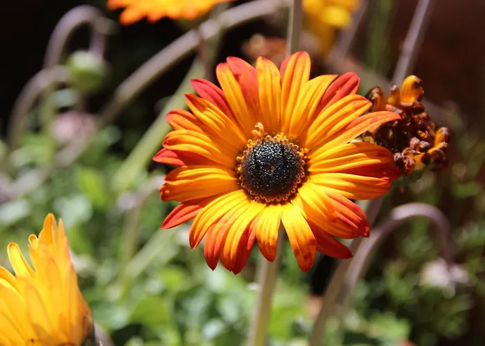 Bio Quinta Do Pantano, Agro Turismo Santo Antonio da Serra