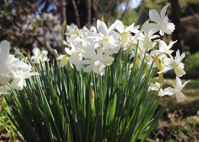 Bio Quinta Do Pantano, Agro Turismo