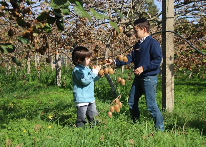Bio Quinta Do Pantano, Agro Turismo Santo Antonio da Serra