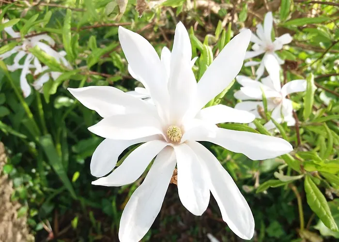 Bio Quinta Do Pantano, Agro Turismo Santo Antonio da Serra
