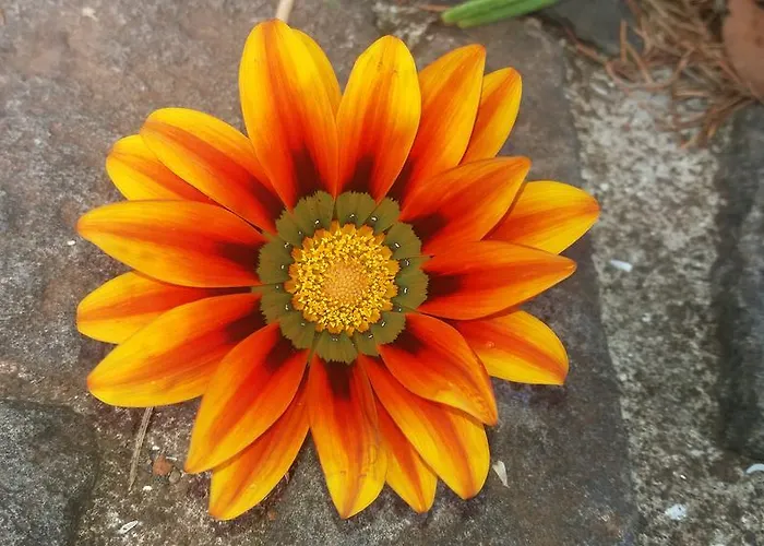 农家乐 Bio Quinta Do Pantano, Agro Turismo Santo Antonio da Serra