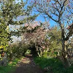 Farm stay Bio Quinta Do Pantano, Agro Turismo