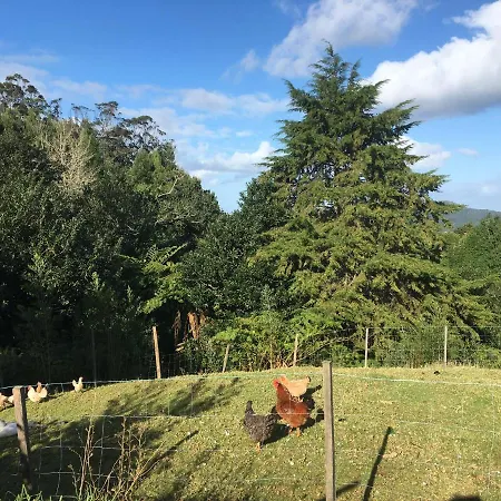 Bio Quinta Do Pantano, Agro Turismo Farm stay Santo Antonio da Serra