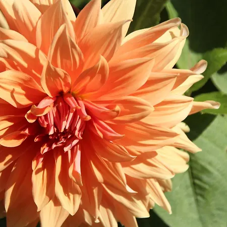 Bio Quinta Do Pantano, Agro Turismo Santo Antonio da Serra