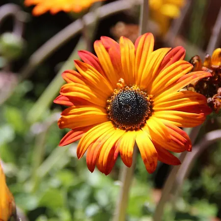 Bio Quinta Do Pantano, Agro Turismo Santo Antonio da Serra