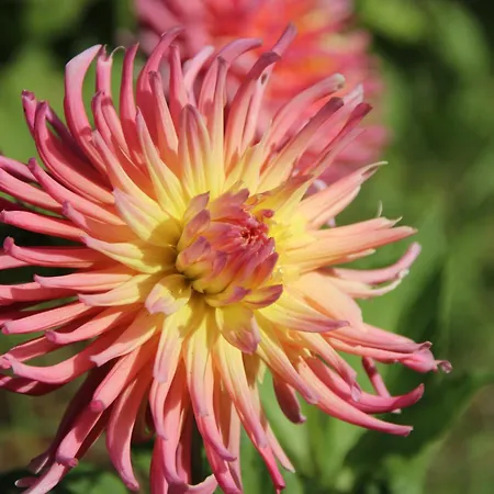 Bio Quinta Do Pantano, Agro Turismo Santo Antonio da Serra