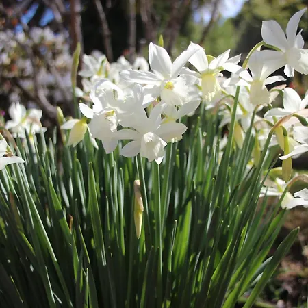 Bio Quinta Do Pantano, Agro Turismo