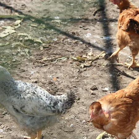 Bio Quinta Do Pantano, Agro Turismo