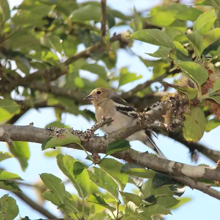 Bio Quinta Do Pantano, Agro Turismo
