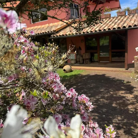 Bio Quinta Do Pantano, Agro Turismo Alloggio per agriturismo Santo Antonio da Serra