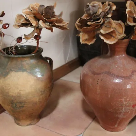 Κατάλυμα σε φάρμα Bio Quinta Do Pantano, Agro Turismo *