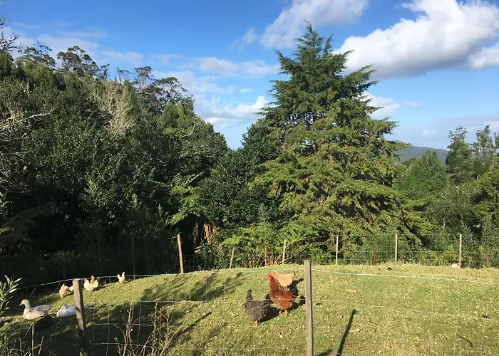 Bio Quinta Do Pantano, Agro Turismo Bauernhof Santo Antonio da Serra