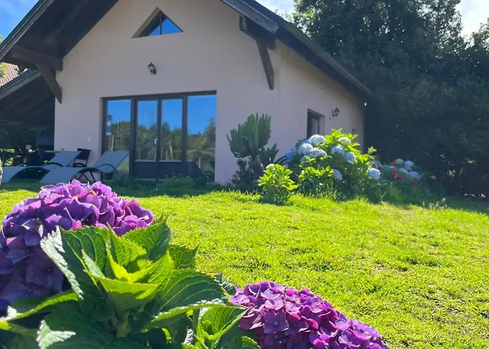 Bio Quinta Do Pantano, Agro Turismo Фермерский дом Santo Antonio da Serra