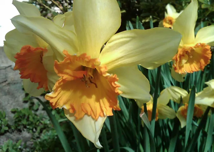 Bio Quinta Do Pantano, Agro Turismo