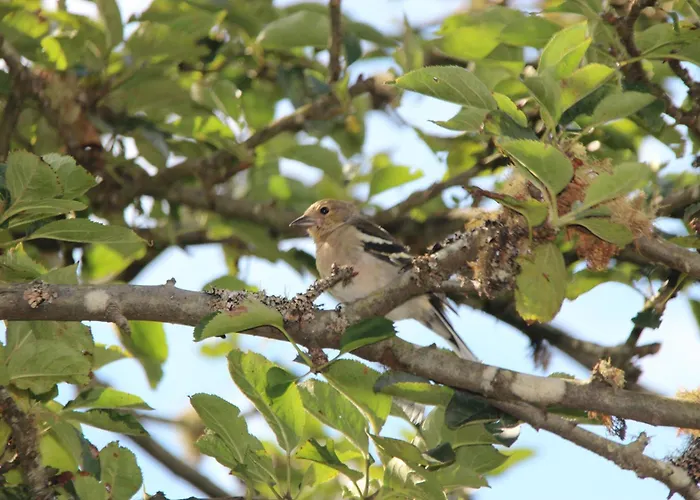 Bio Quinta Do Pantano, Agro Turismo