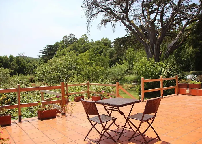 Фермерский дом Bio Quinta Do Pantano, Agro Turismo